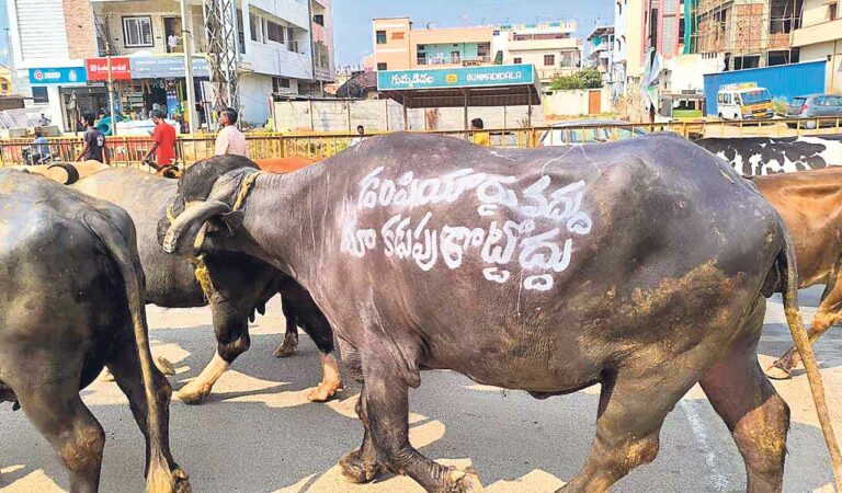 Farmers Protest