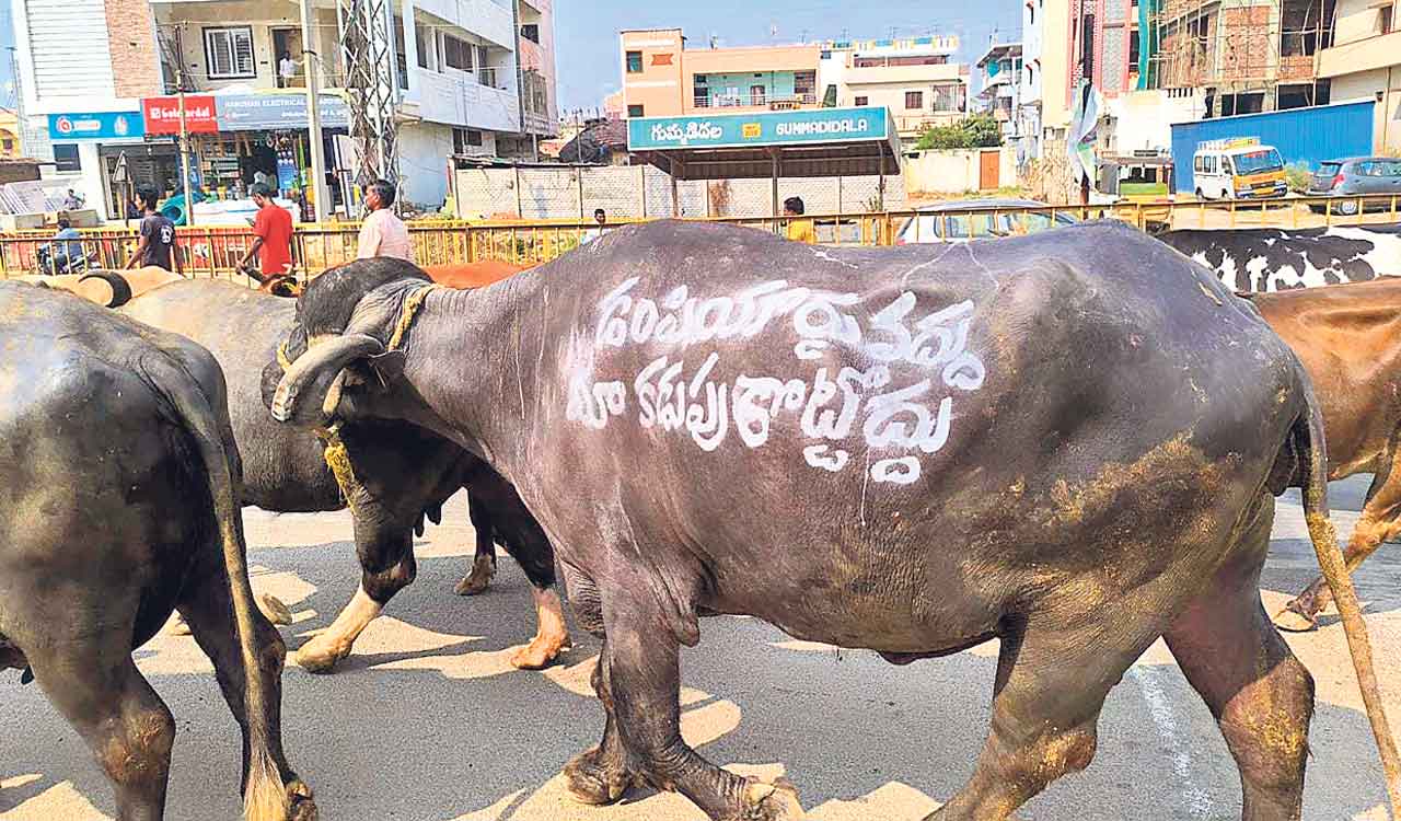 Gummadidala farmers replicate ‘Bharat Bandh’ scene to protest proposed dumpyard
