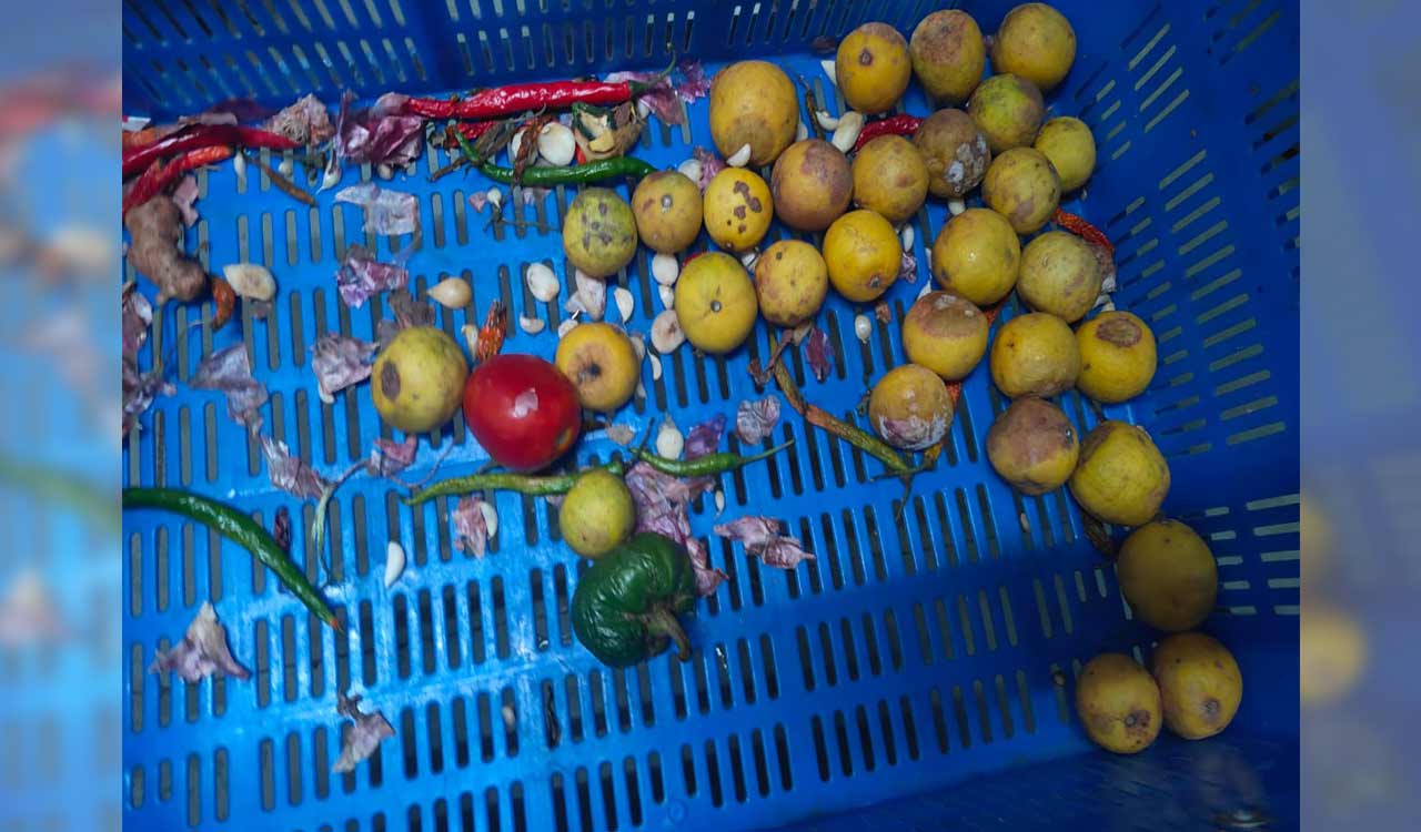 Rat faeces, cockroaches found in two restaurants in Hyderabad’s Jubilee Hills