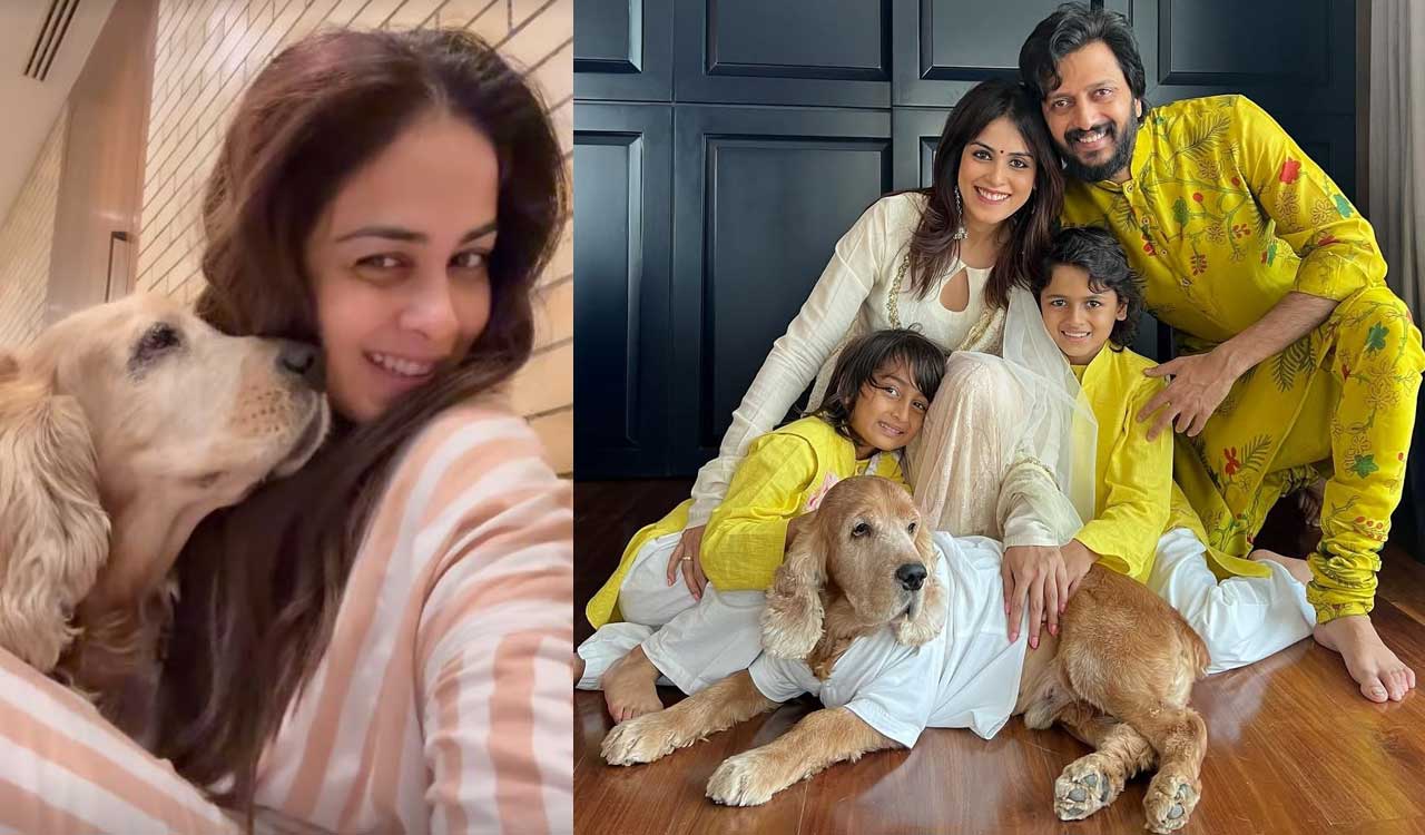 Find out why Genelia says ‘thank you’ to her fur baby who turns 11