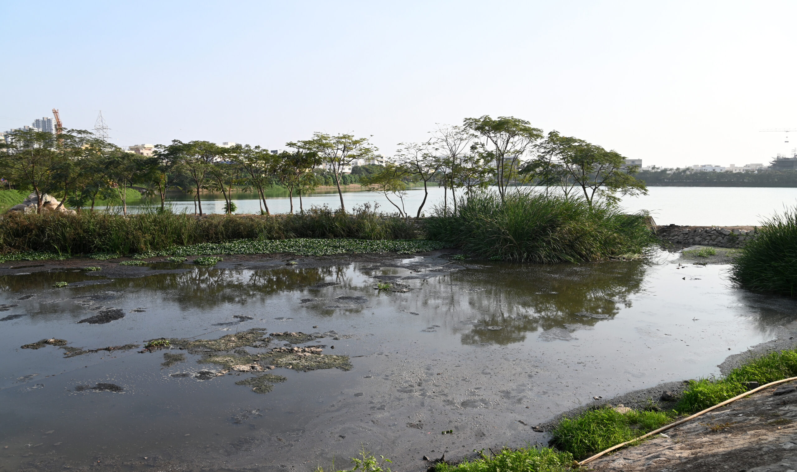 Hyderabad lakes cry for attention