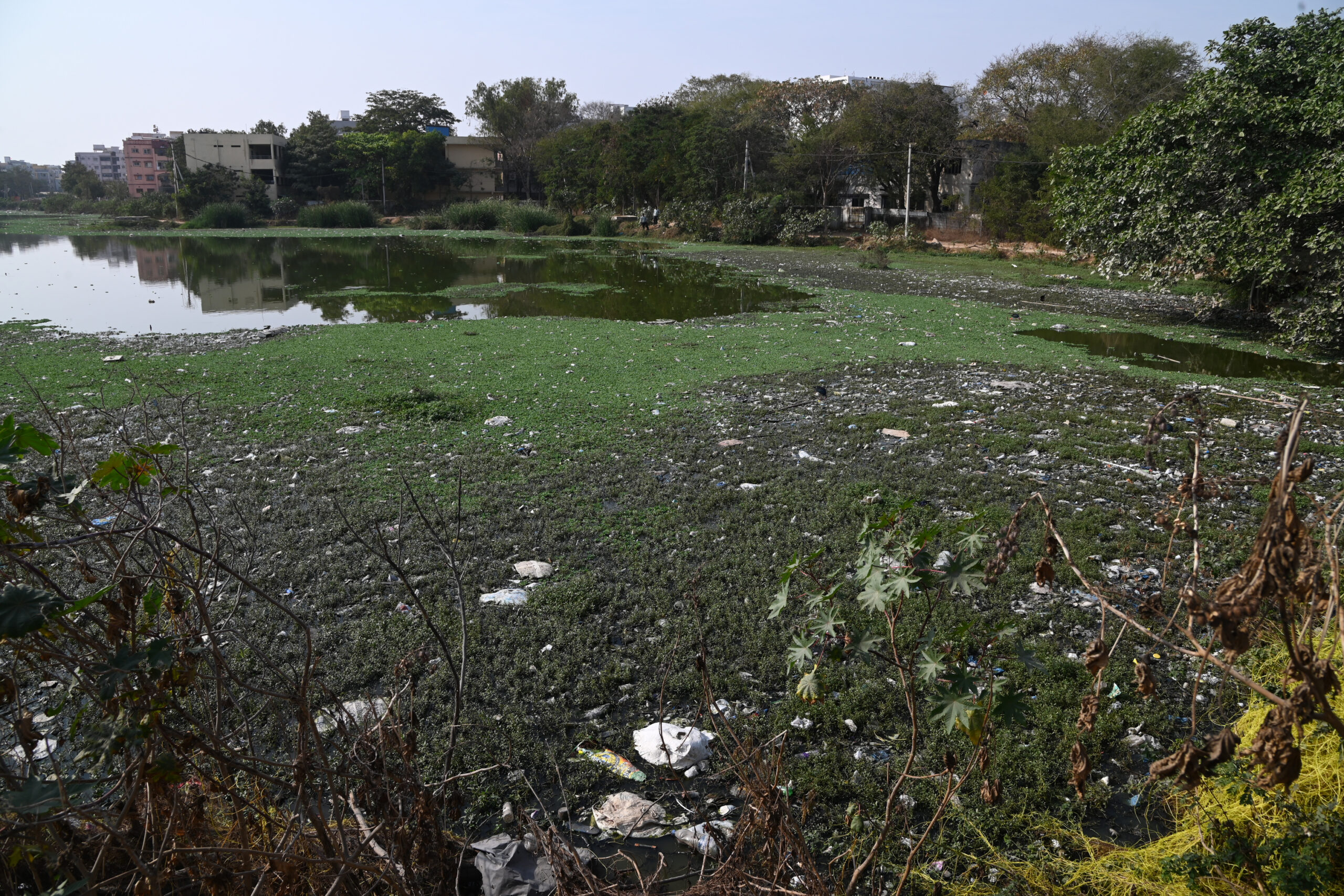 Hyderabad lakes cry for attention