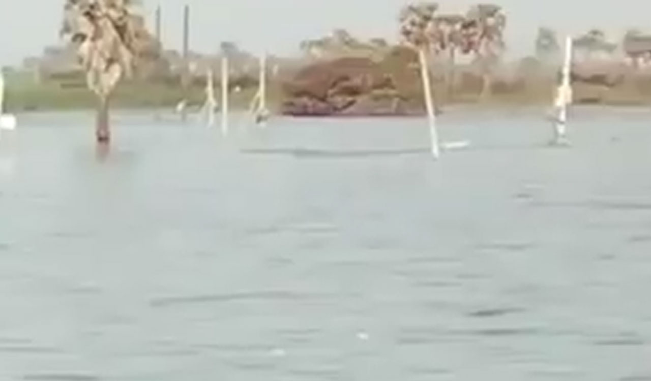 Dead chickens dumped in Akkampally reservoir, a source of water supply for twin cities and parts of Nalgonda