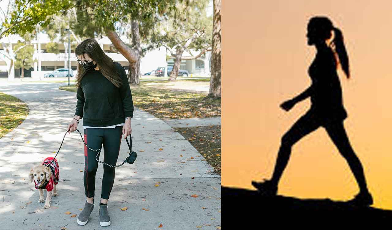 When should you walk? Morning or evening