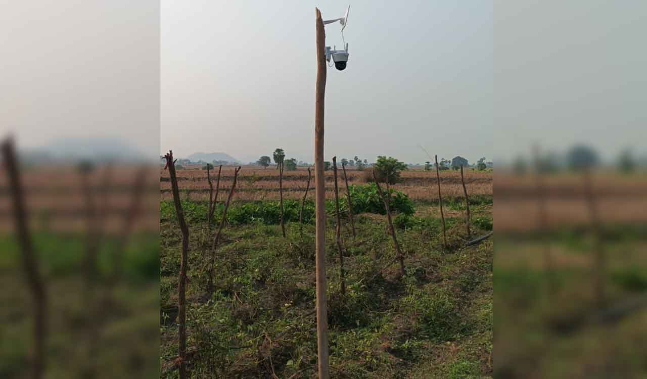 Woman farmer in Kothagudem installs CCTV camera to keep thieves away