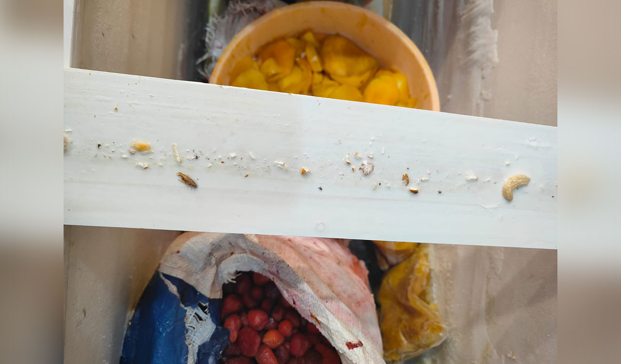 Hyderabad: Food safety officials conduct raids at DLF; Detect safety violations in several food joints