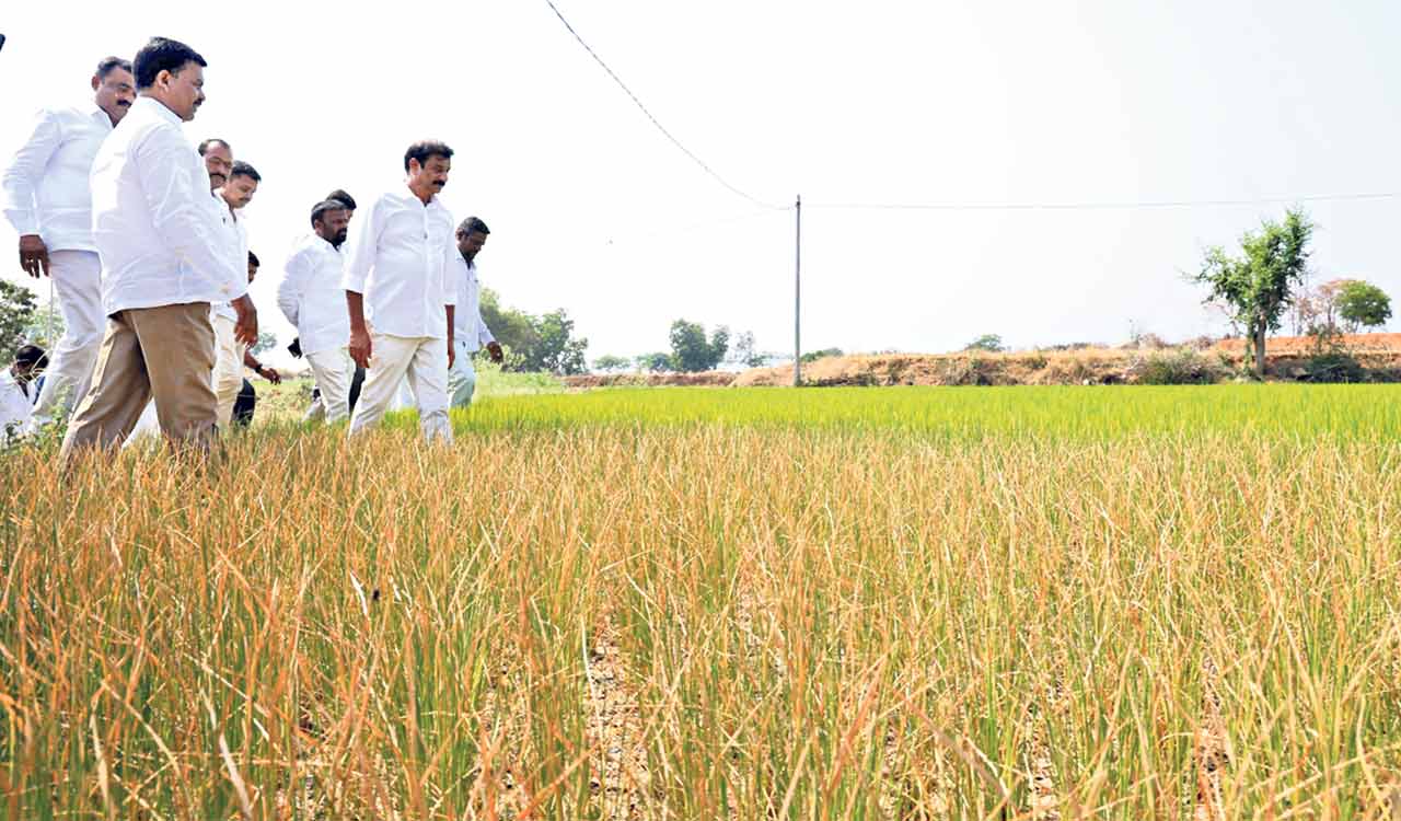 Congress government feigning ignorance as crops wither in Dubbak: Kotha Prabhakar Reddy