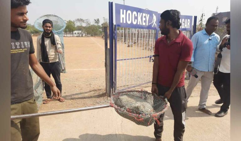 Stray dogs attack MLC election counting staff in Telangana's Karimnagar
