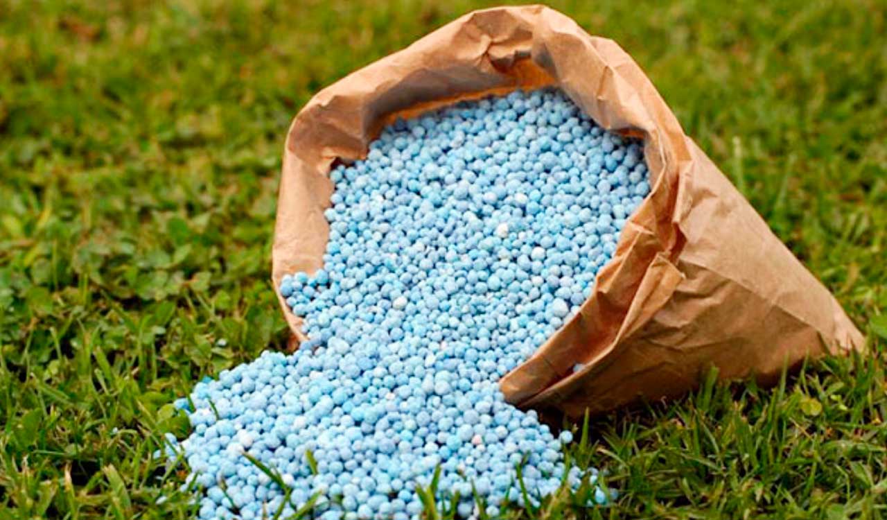 Rs 10,600 crore fertilizer project in Assam gets Cabinet nod
