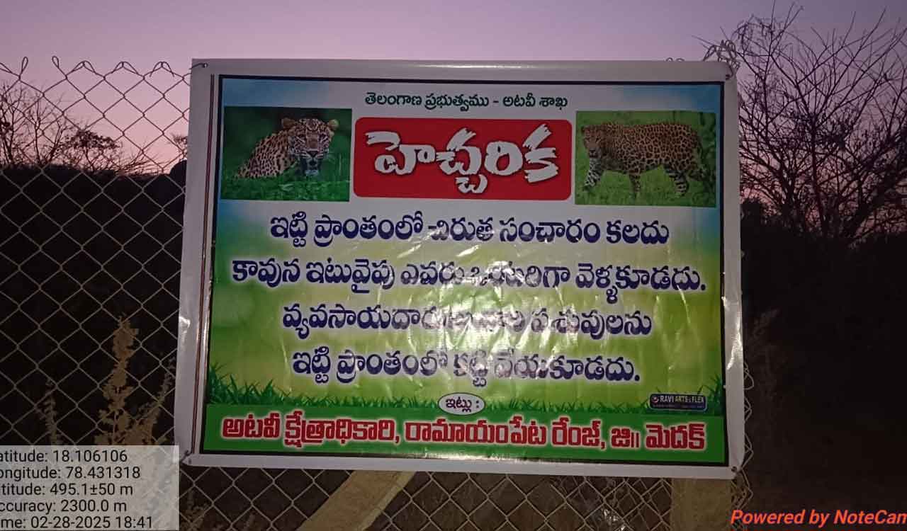 Leopard kills calves, dogs in Ramayampet; Villagers put on high alert