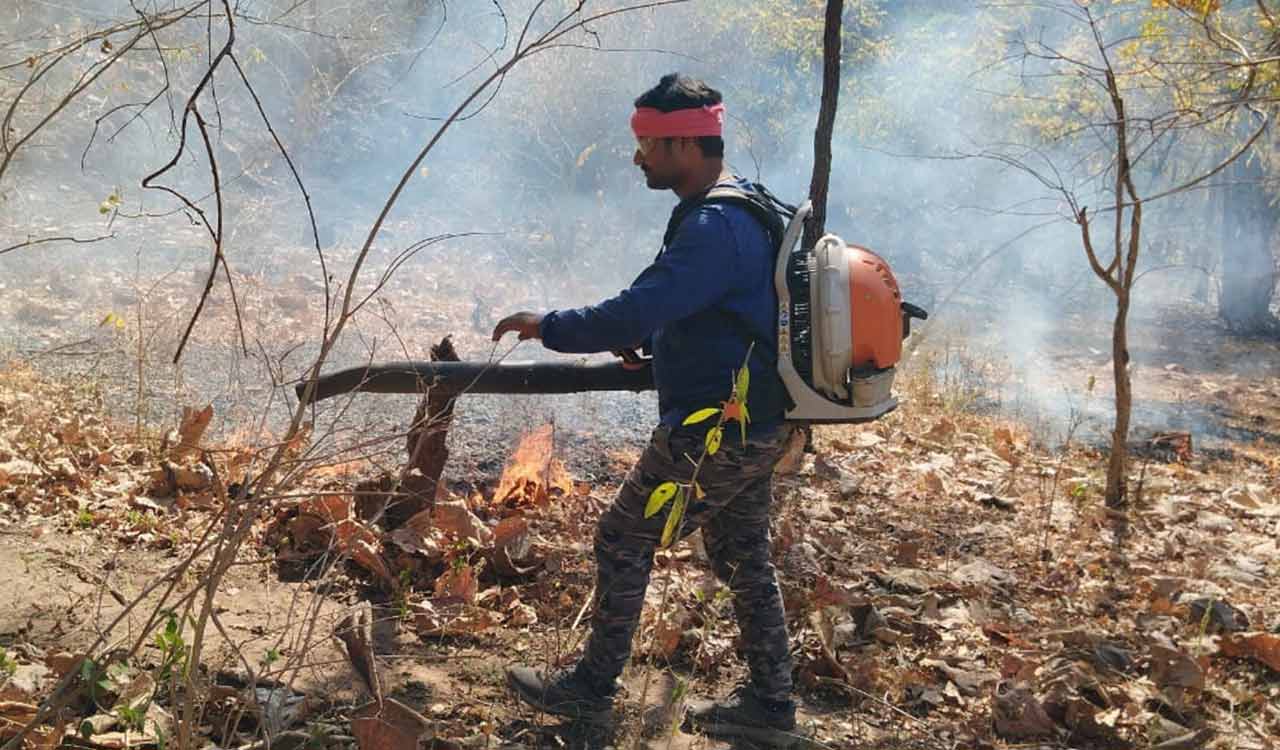 Wildfires rage across Telangana; 164 forest fires reported every day in 2025
