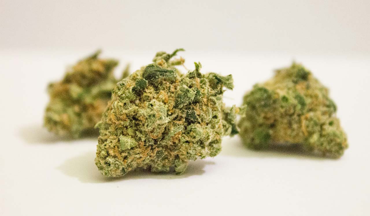 Hyderabad: Eight held for peddling, consumption of ganja