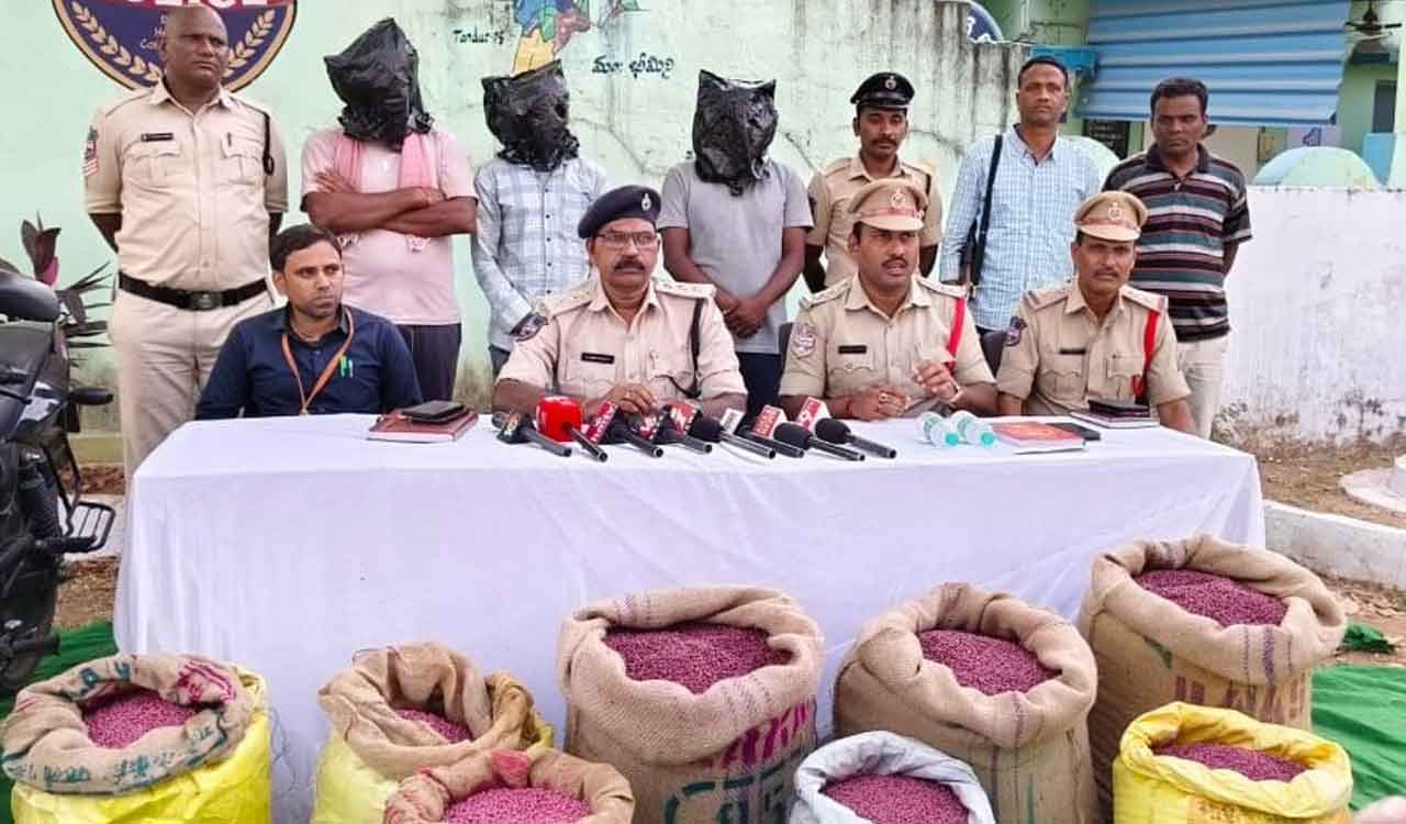 Mancherial becomes hub of spurious cotton seed smuggling