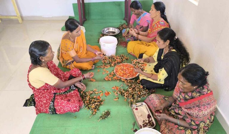 Women are busy making natural colours at a village in Siddipet on Thursday a day ahead of Holi.