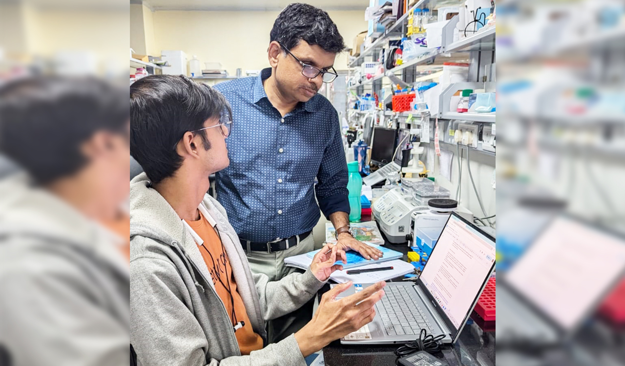 Hyderabad: TIFR study flags harmful effects of sugar-sweetened beverages on humans