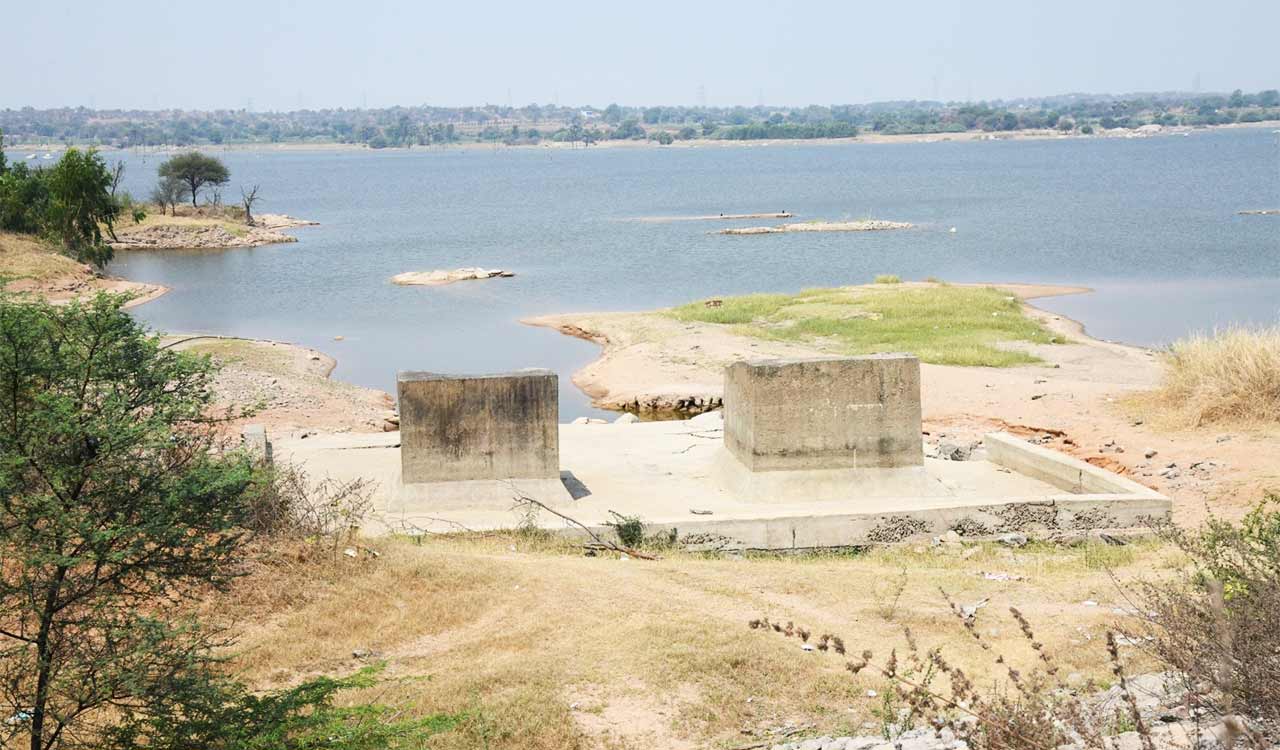 Telangana: Crops under Tapaspally reservoir wither as water level touches dead storage