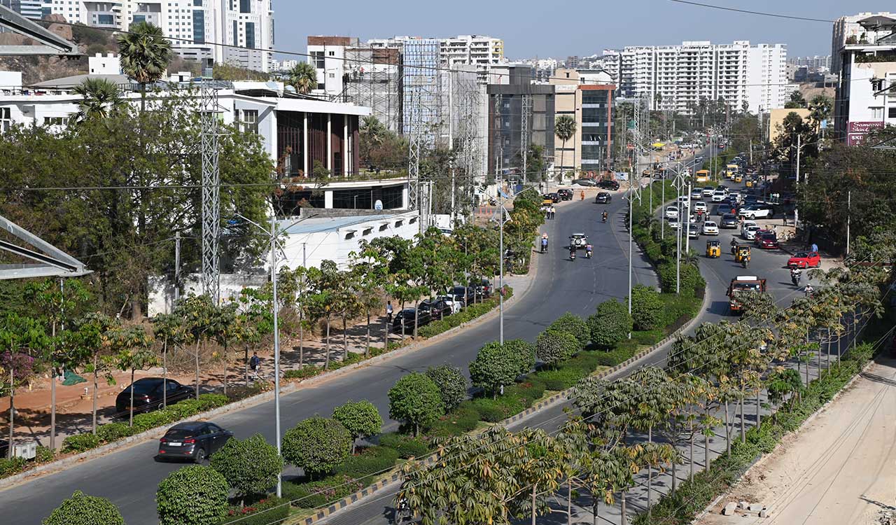 All set for the second Hyderabad Annual Tree (HAT) Biodiversity Survey 2025