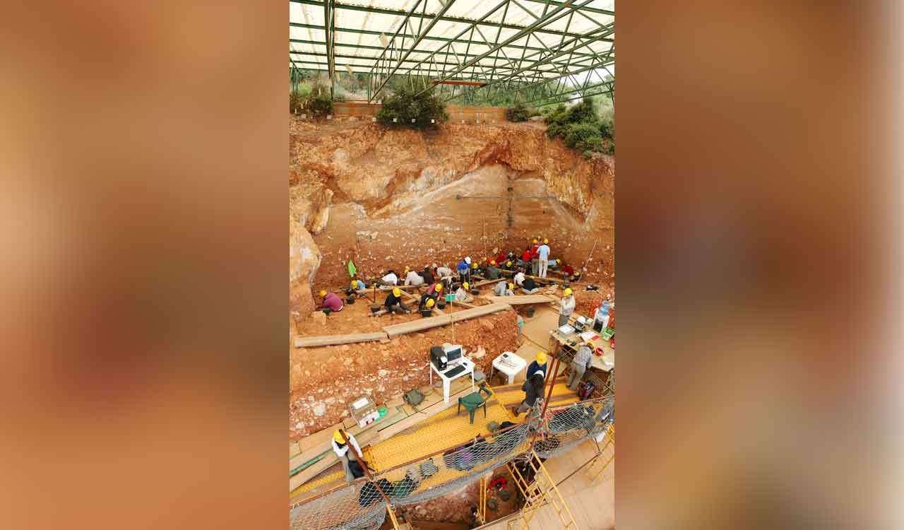 A new discovery sheds light on our long-extinct cousins