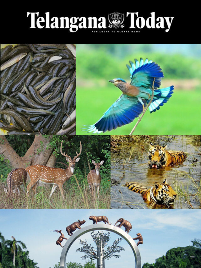 Explore Telangana’s Wildlife