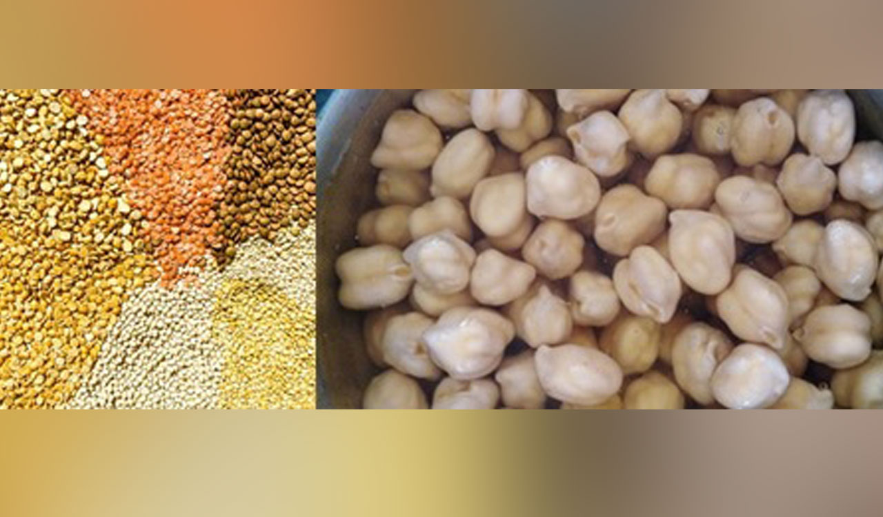 Chickpeas, lentils nutritious than oats, wheat: Study