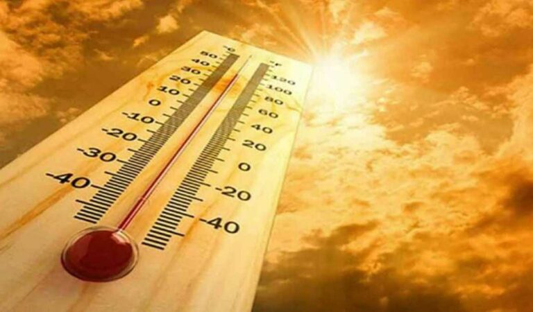 Telangana: Parts of Adilabad witness scorching heatwave conditions