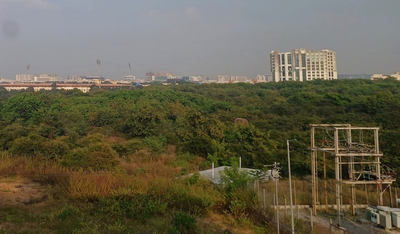 ‘Save City Forest’ demands Telangana Government withdraw auction of ‘Kancha Urban Forest’ in Gachibowli