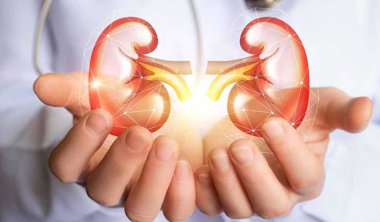 NephroPlus launches free kidney screening campaign in multiple Indian cities