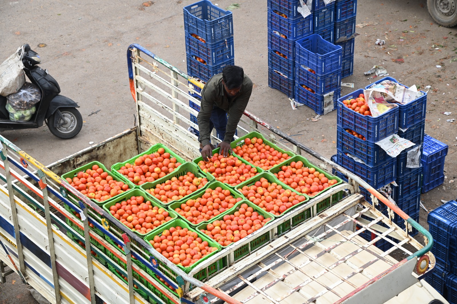 Tomato surplus leaves farmers struggling amidst market woes