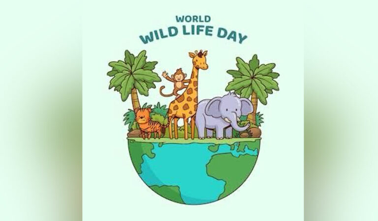 Wildlife includes all living things that exist naturally without human interference, from majestic creatures like Tigers, Lions and colourful birds to tiny insects and giant trees. These creatures play a key role in keeping nature balanced.