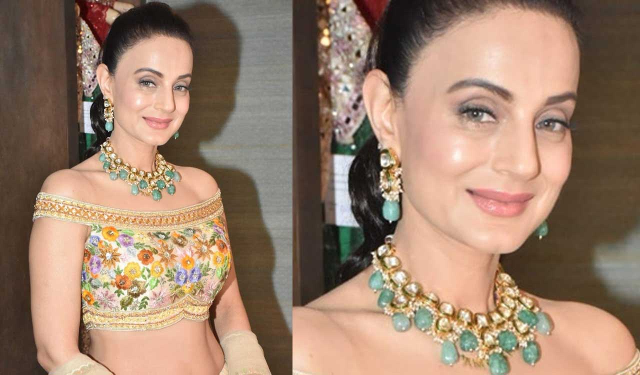 Ameesha Patel defends Fawad Khan, stressing that India’s culture doesn’t differentiate art