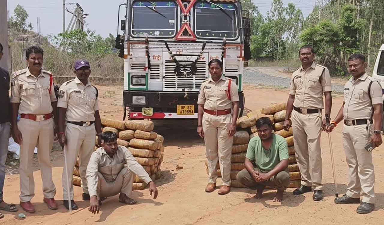 Telangana: Kothagudem police seize ganja worth Rs 3.63 crore