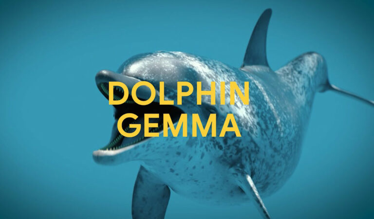 DolphinGemma