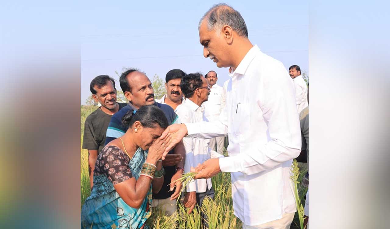 Extend input subsidy to tenant farmers, free seeds to farmers whose crops damaged: Harish