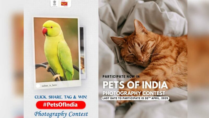 India Postunches Pets Of India Contest With Rs 140 Lakh In Prizes Postcard Feature For Top Pets