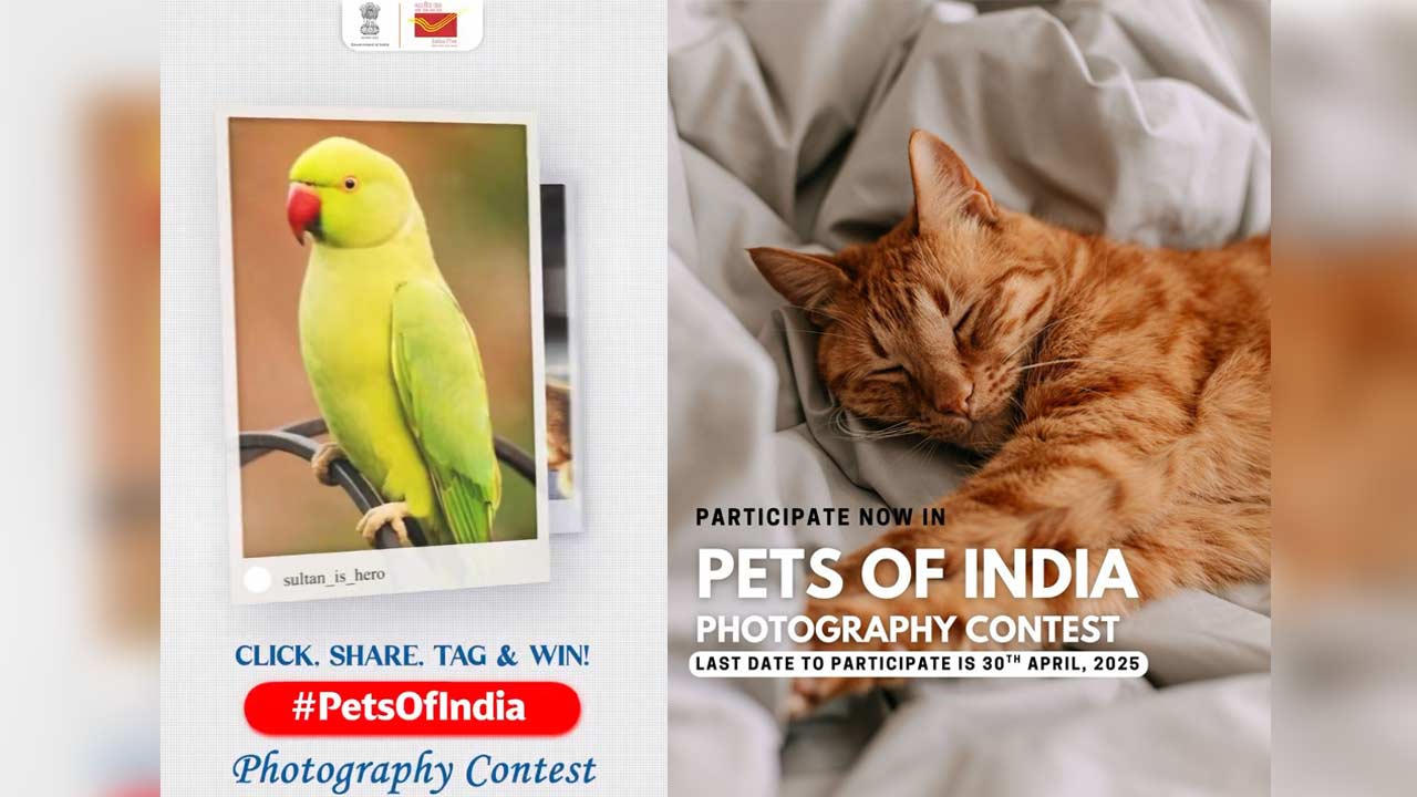 India Post launches Pets of India contest with Rs 1.40 lakh in prizes, postcard feature for top pets