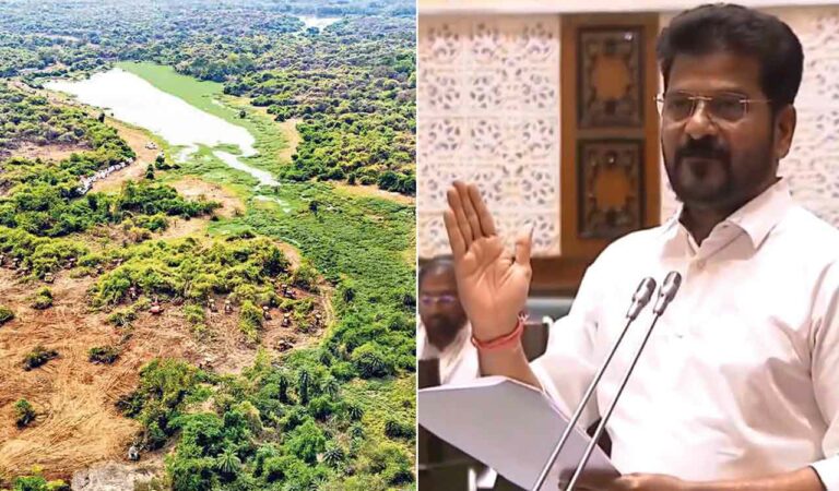 Congress Govt's push for private players raises serious doubts in Kancha Gachibowli land row