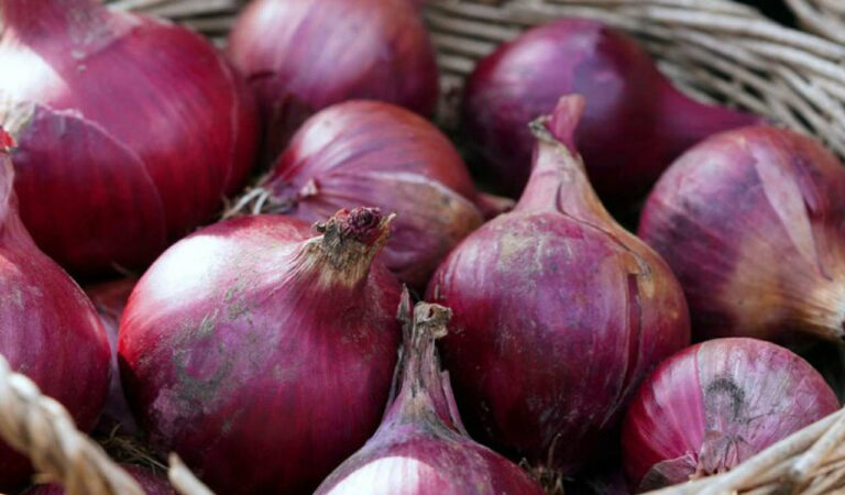 Does Hyderabad's onion-in-pocket hack work for heat strokes? 