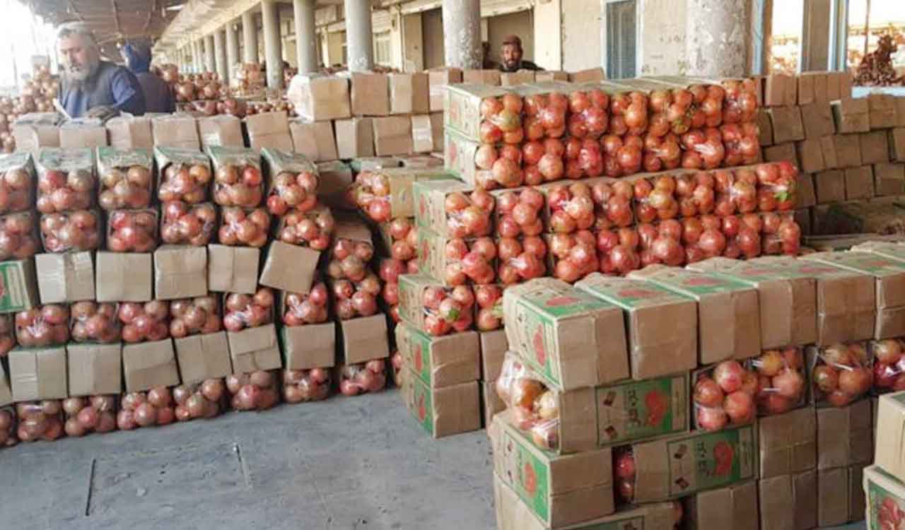 India exports 14 tonnes of pomegranate consignment to US via sea route, for first time