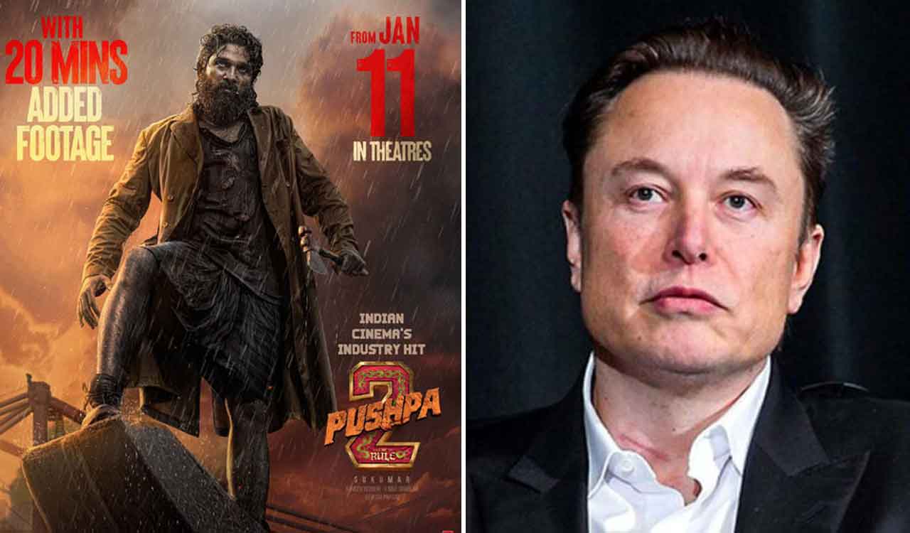 Instagram content creator draws bold parallels between Pushpa 2 and Elon Musk’s political move in viral reel