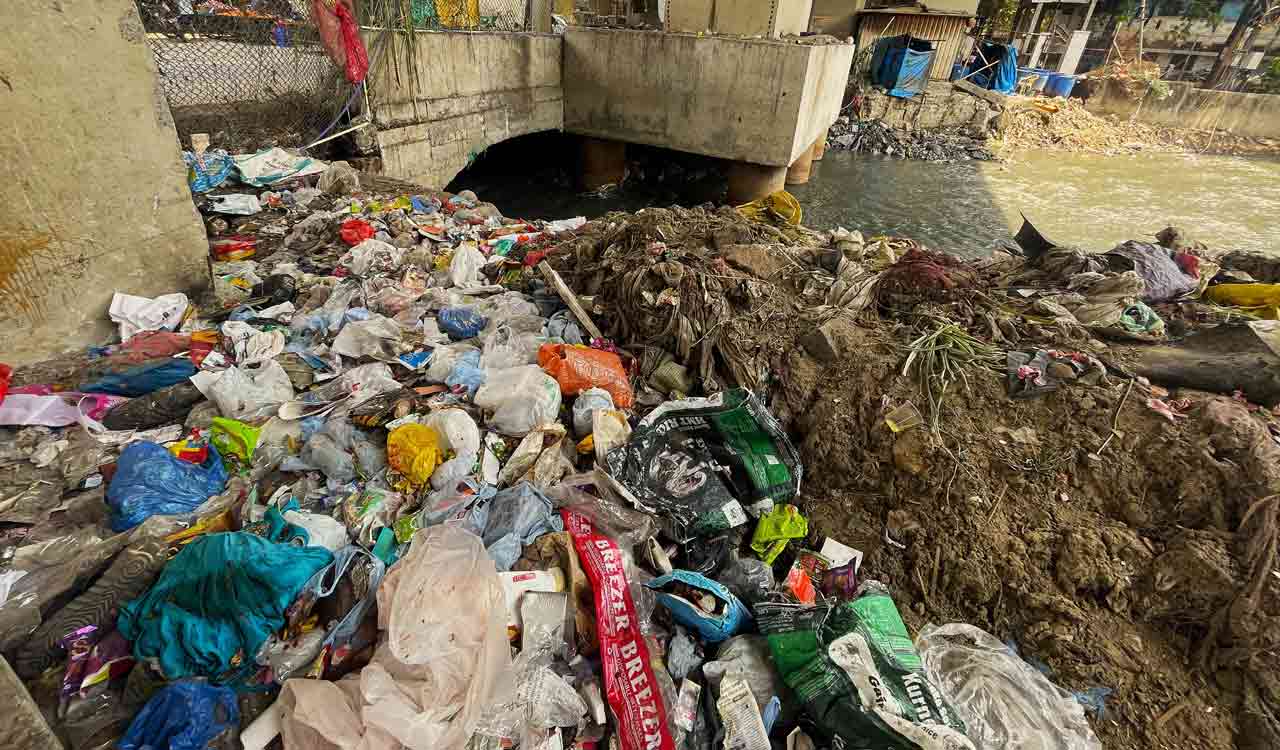 Sanitation crisis deepens as Hyderabad struggles to maintain its clean city image