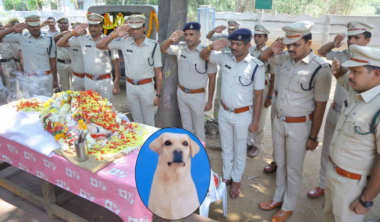 Telangana: Sniffer dog Yami dies, last rite performed with official honours in Khammam