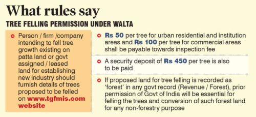 Telangana: Tree felling at Kanche Gachibowli continues unabated