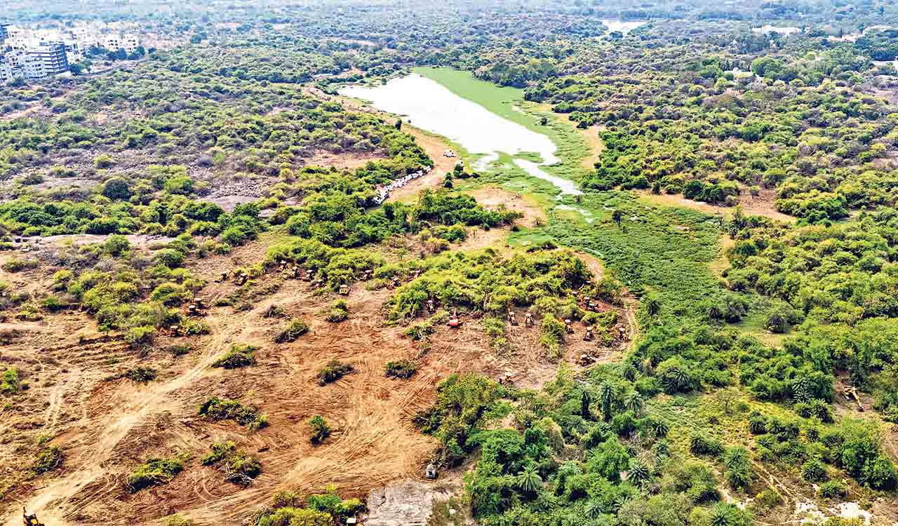 Kancha Gachibowli row: Civil Society organisations, intellectuals slams Telangana government not assessing environmental impact