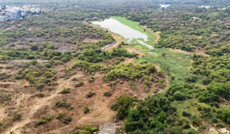 Uoh Land 456x267