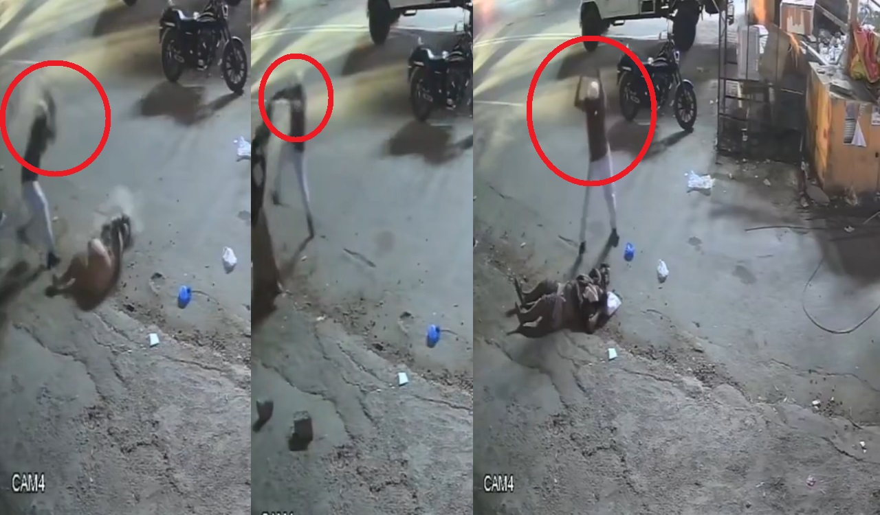 Watch: Husband attacks pregnant wife with brick, stick in Hyderabad,  leaving her critically injured-Telangana Today