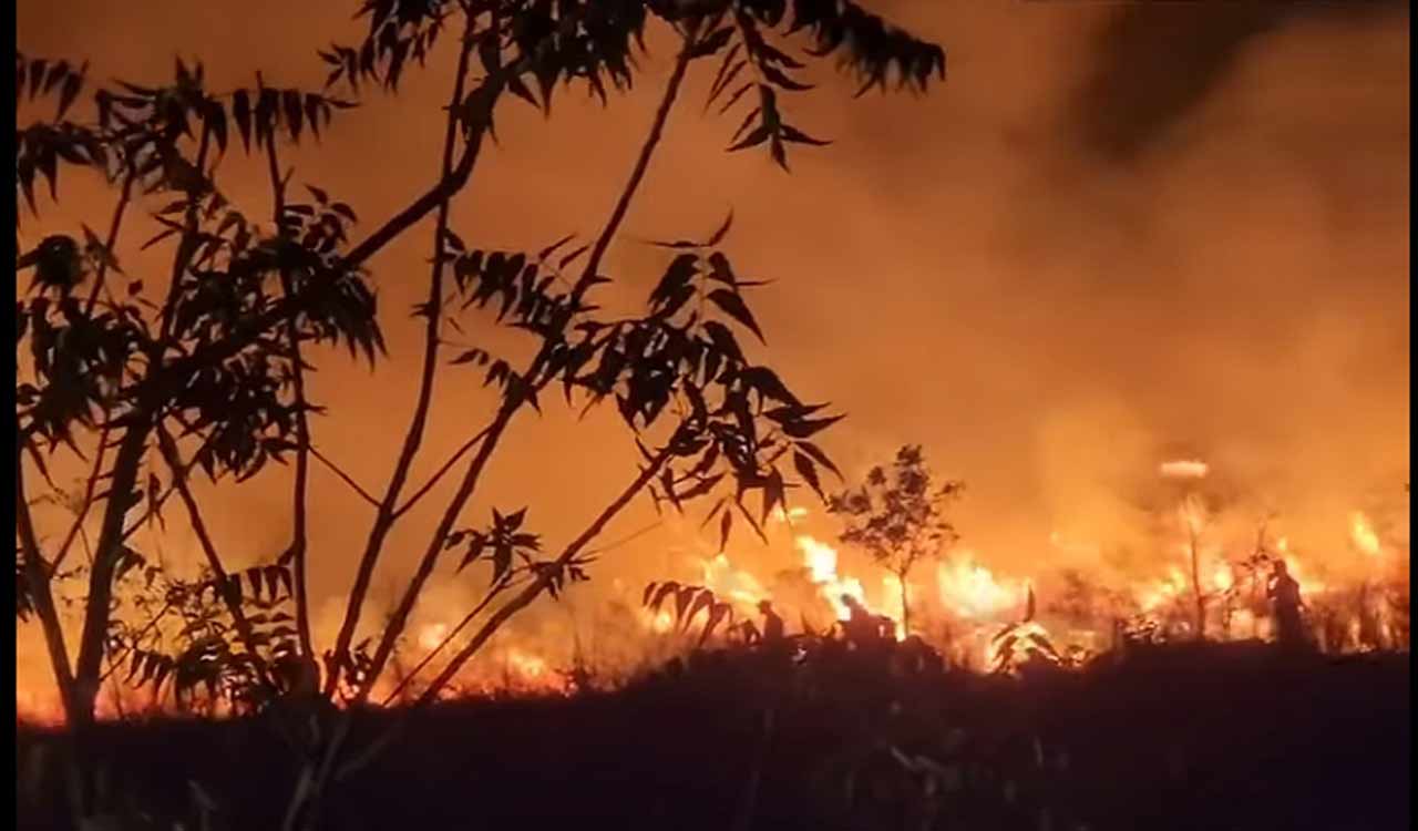 Fire in Khammam’s Velugumatla Urban Park damages plants