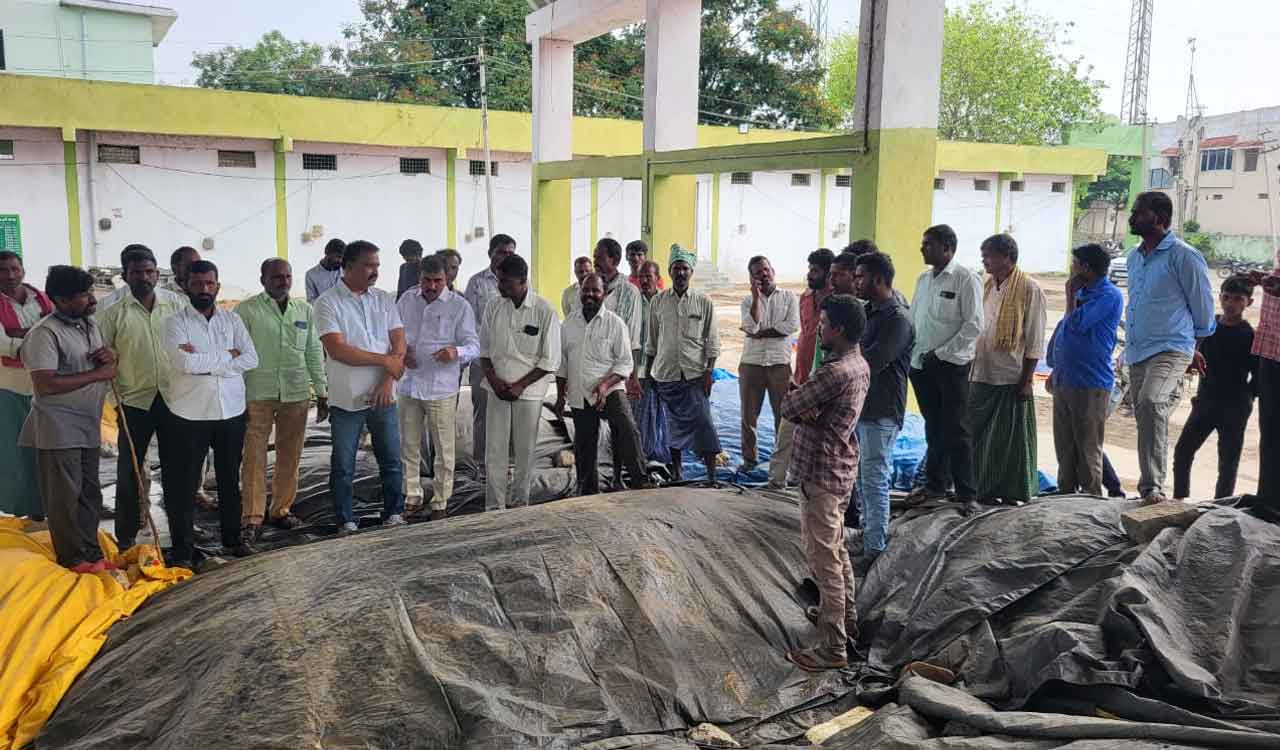 Reopen sunflower purchasing centres: Siddipet farmers demand
