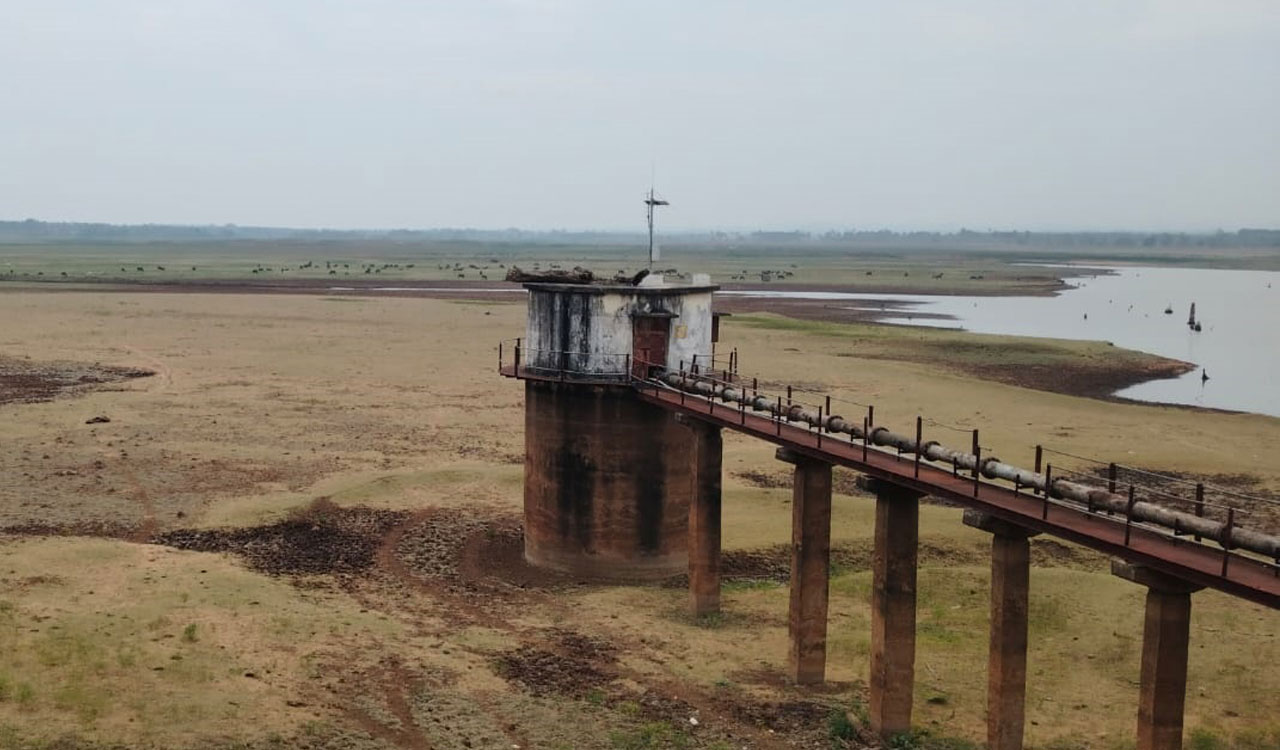 Farmers under Peddavagu project ayacut in Kothagudem set to lose another crop season