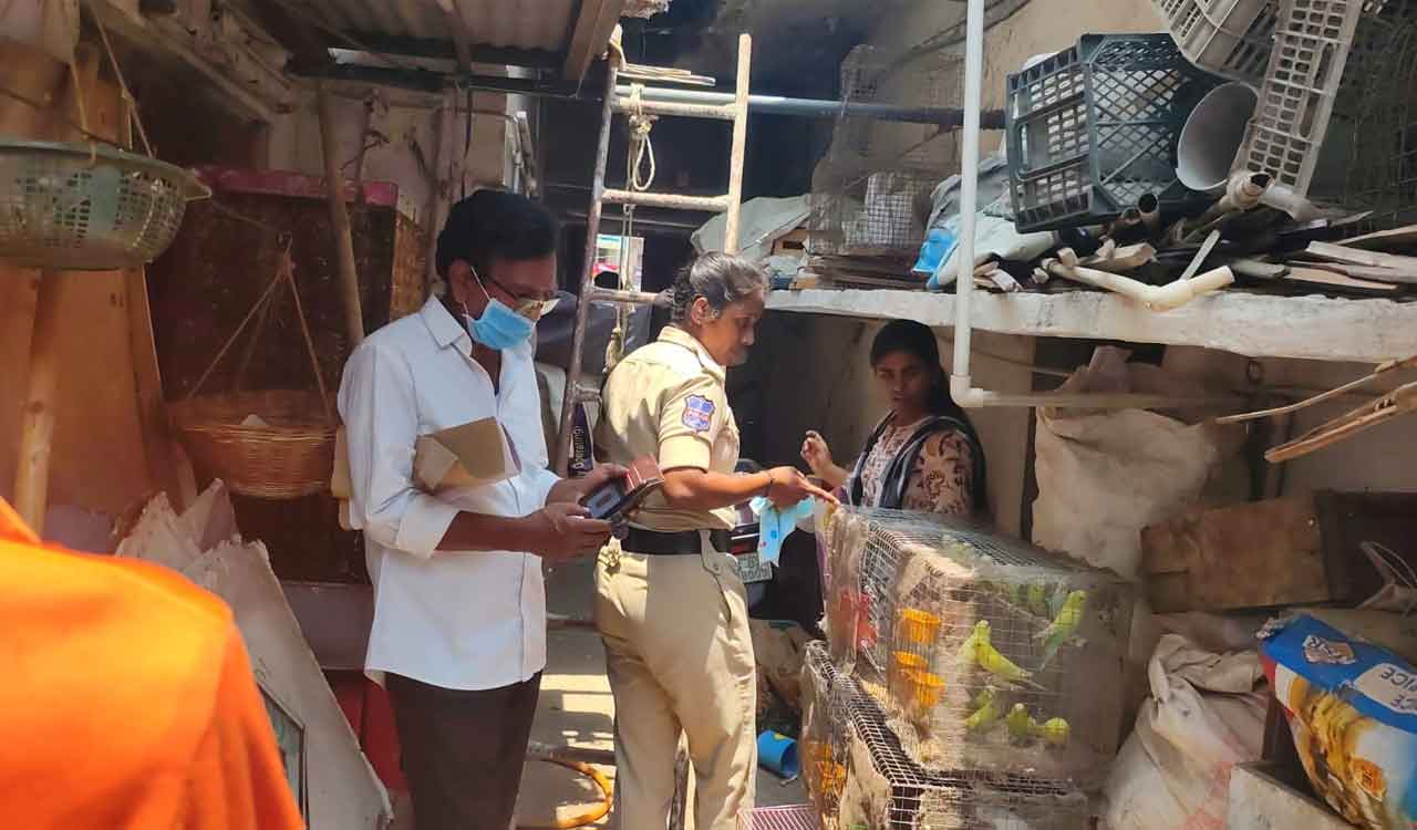 Case registered against pet shop in Karimnagar for operating under unhygienic conditions