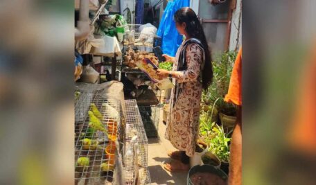 Case registered against pet shop in Karimnagar for operating under unhygienic conditions